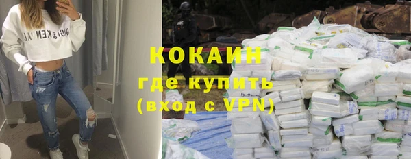 прущие грибы Абаза