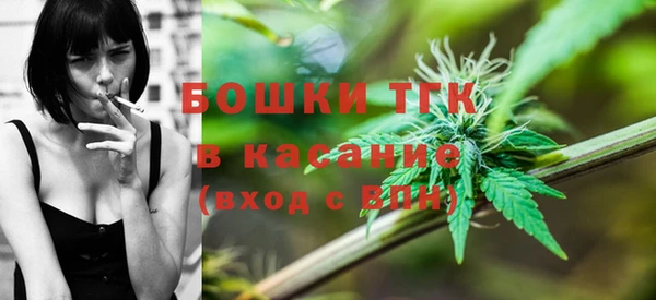 стаф Абинск