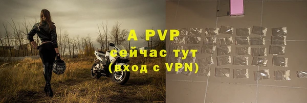 прущие грибы Абаза