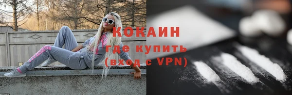 стаф Абинск