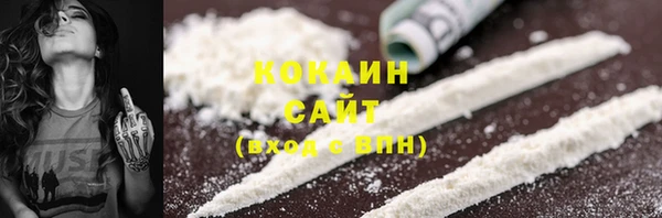 прущие грибы Абаза