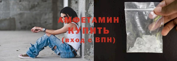 прущие грибы Абаза