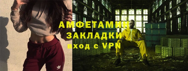 прущие грибы Абаза
