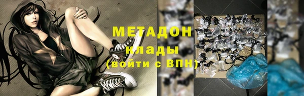 прущие грибы Абаза