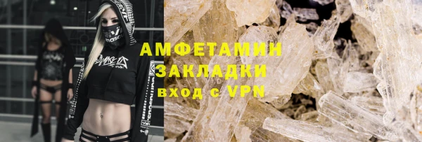 прущие грибы Абаза