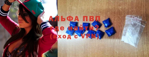 стаф Абинск